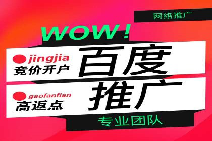 百度SEO推广公司服务效果评估：多案例对比分析